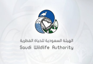 SWA logo