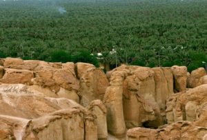 Bird-eye view of Al-Ahsa Oasis