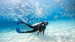 A diver surrounded by hoards of fishes near the seabed, among the groups on Hala Yalla