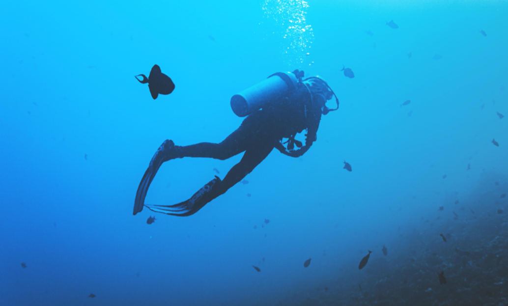 Diving Adventures You Need to Experience